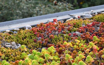 the cost of Caulcott green roof installation