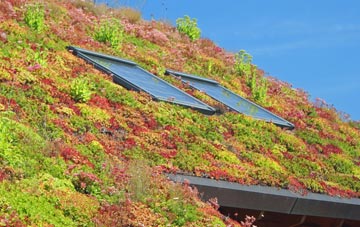 Caulcott living roof systems