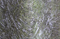 Caulcott fibreglass roof work